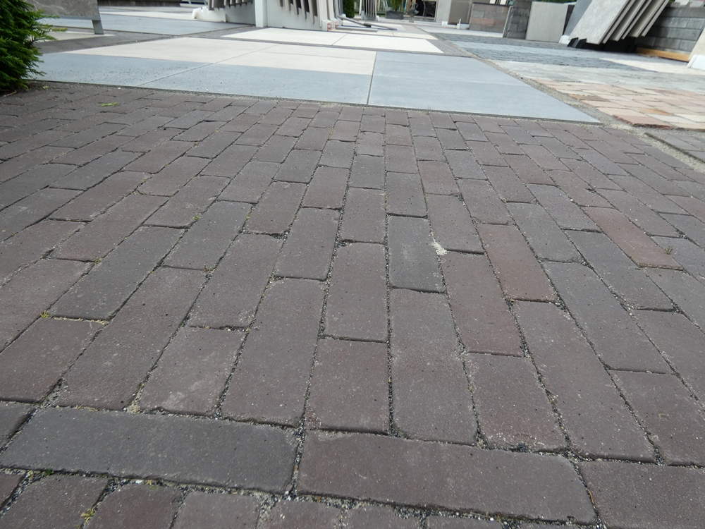 Gebakken DF 6,0 Oud Alkmaar+ bezand getr.
