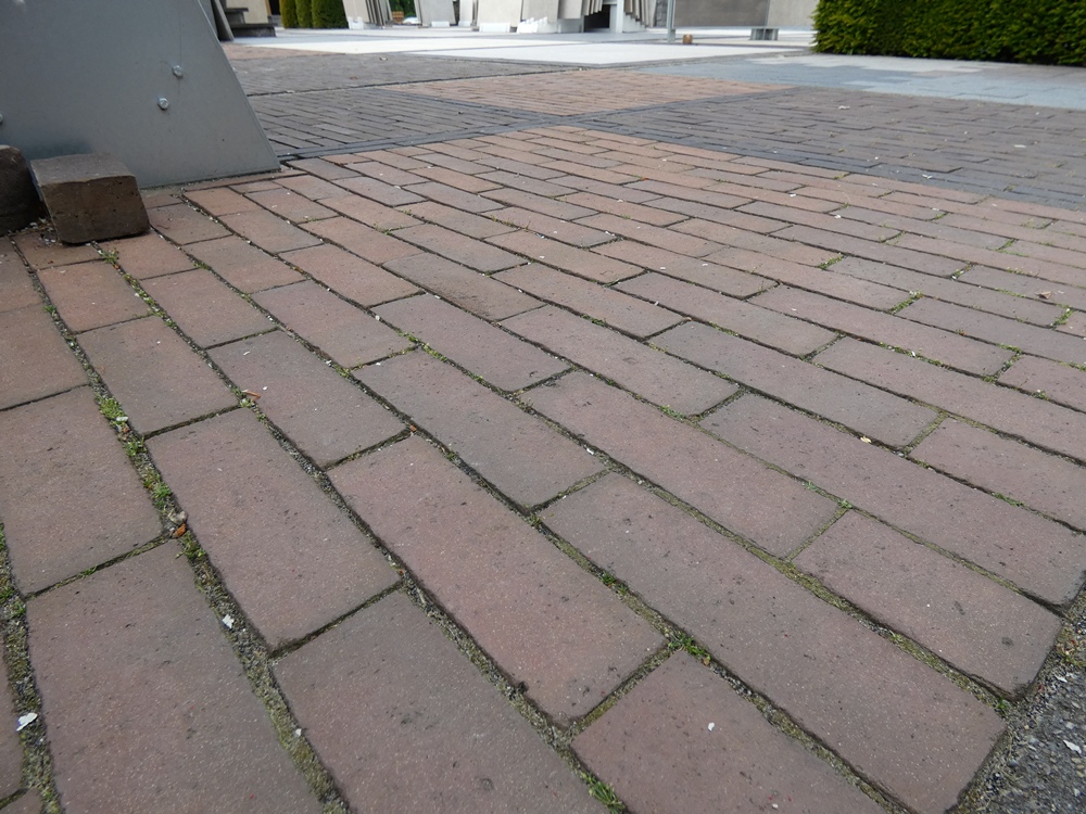Gebakken DF Putten onbezand 
