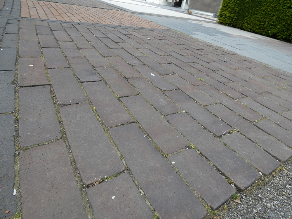 Gebakken DF Vaassen onbezand 

