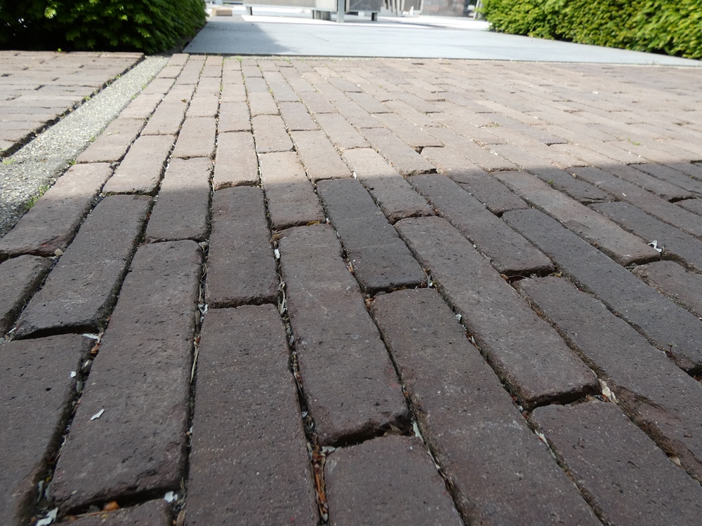 Gebakken WF Oud Zaandam onbezand getr.
