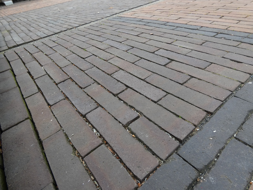 Gebakken WF Vaassen onbezand 
