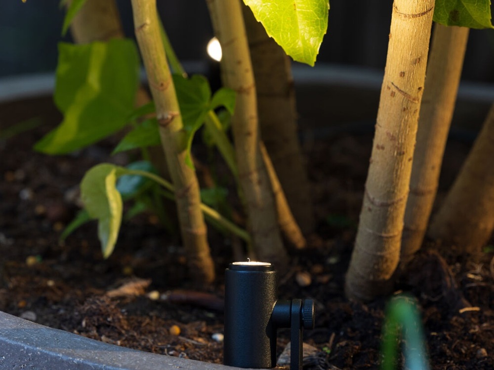MICRO SCOPE
